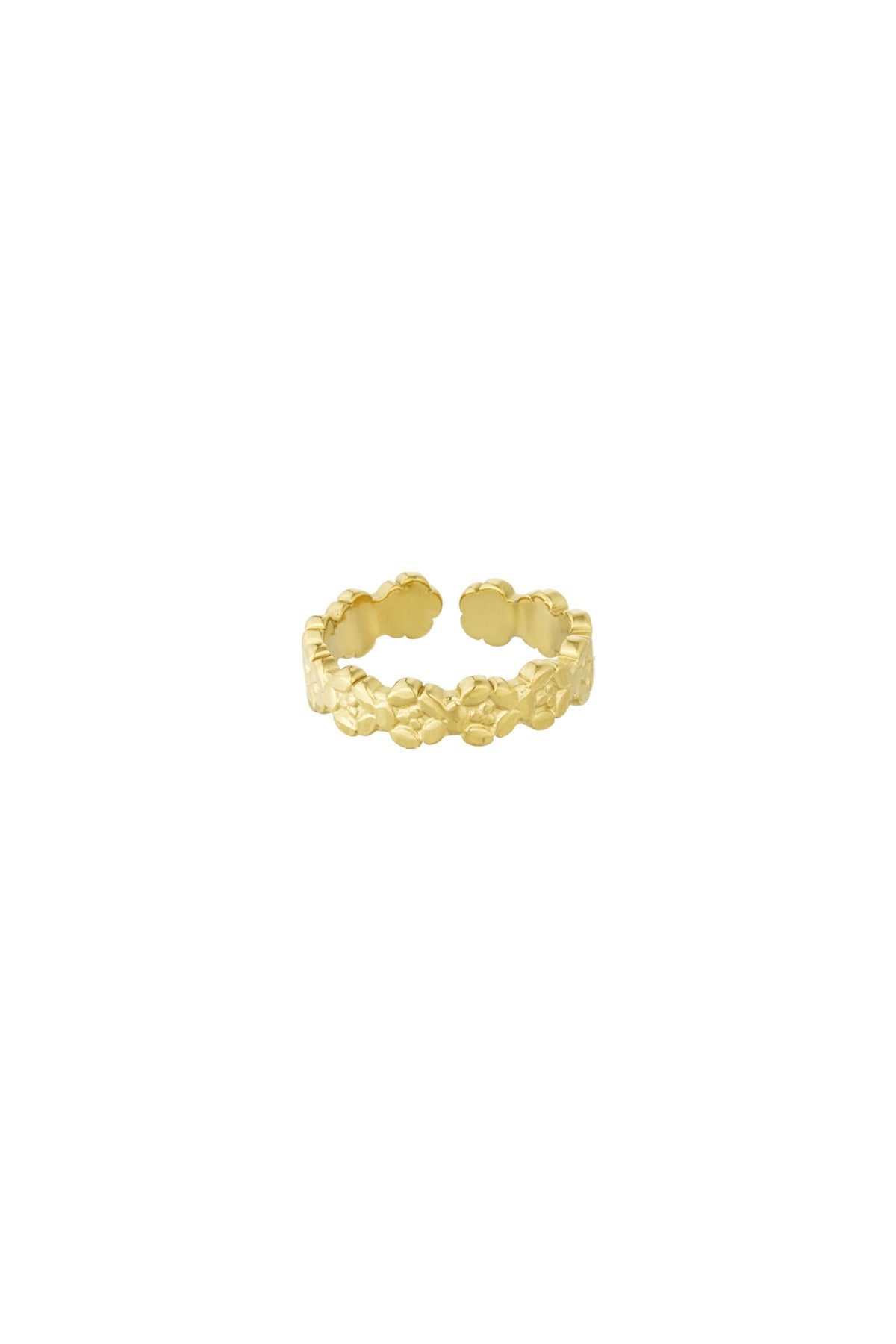ANILLO HIDDEN