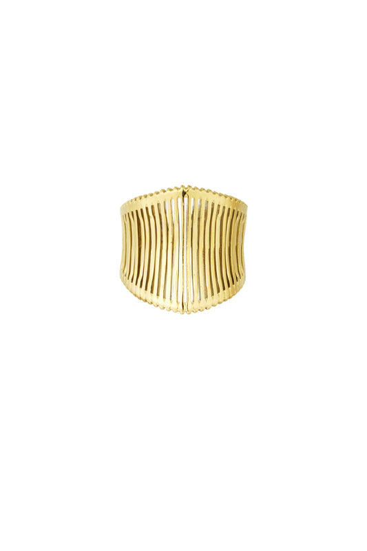 ANILLO ECHO